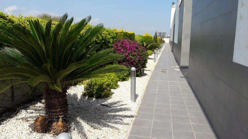 Oliva Nova - Golf&Beach Cabagua Esterno foto